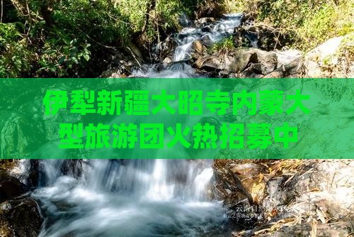 伊犁新疆大昭寺内蒙大型旅游团火热招募中