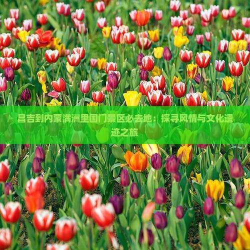 昌吉到内蒙满洲里国门景区必去地：探寻风情与文化遗迹之旅