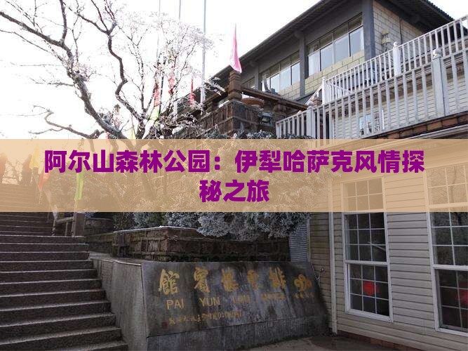 阿尔山森林公园：伊犁哈萨克风情探秘之旅