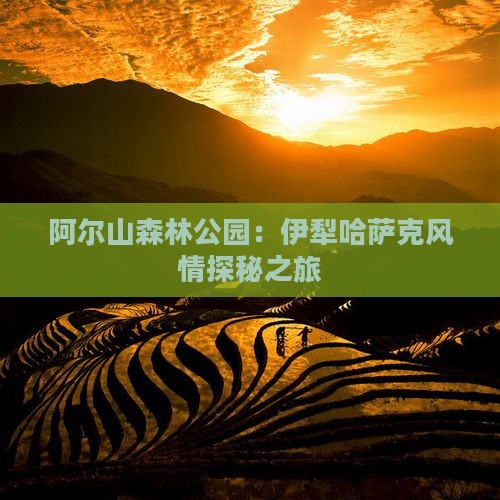 阿尔山森林公园：伊犁哈萨克风情探秘之旅
