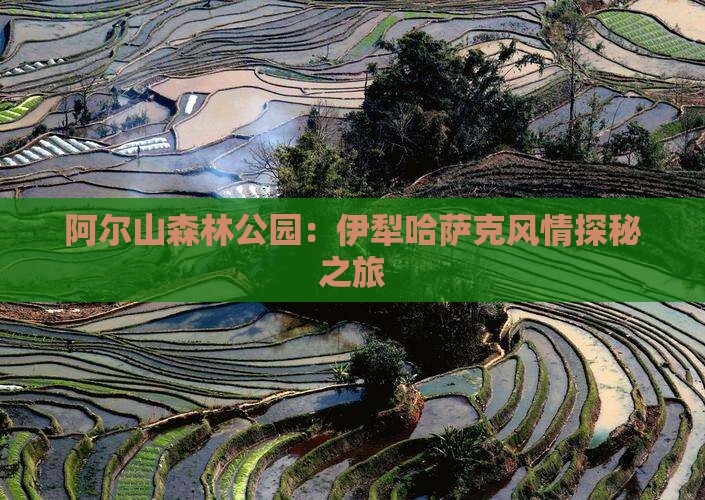 阿尔山森林公园：伊犁哈萨克风情探秘之旅