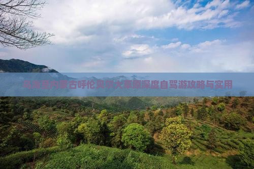乌海至内蒙古呼伦贝尔大草原深度自驾游攻略与实用