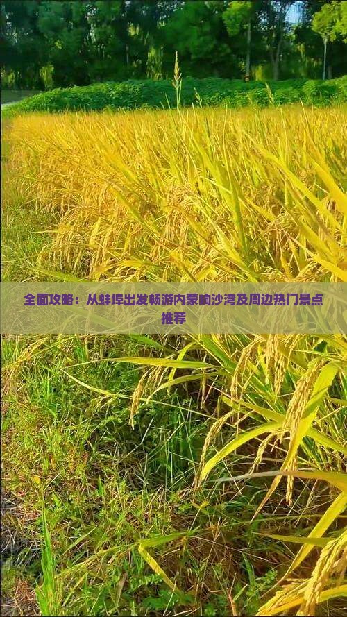 全面攻略：从蚌埠出发畅游内蒙响沙湾及周边热门景点推荐