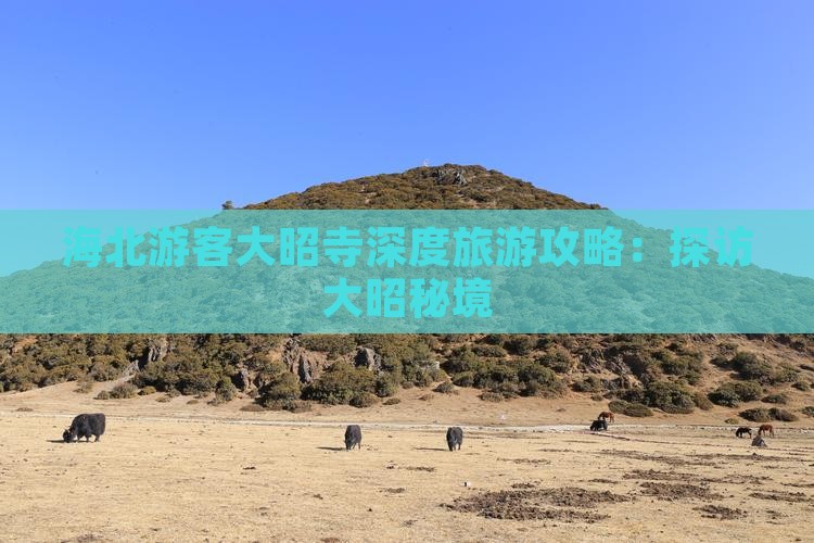 海北游客大昭寺深度旅游攻略：探访大昭秘境
