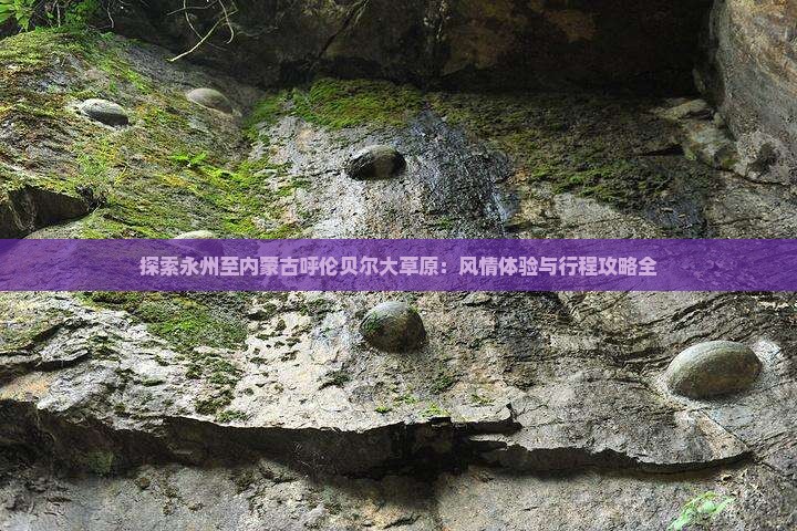探索永州至内蒙古呼伦贝尔大草原：风情体验与行程攻略全