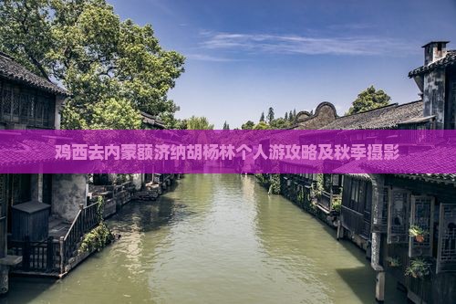 鸡西去内蒙额济纳胡杨林个人游攻略及秋季摄影