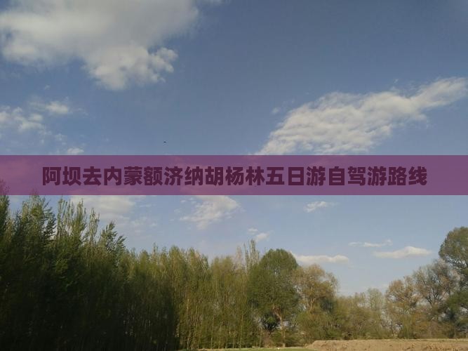 阿坝去内蒙额济纳胡杨林五日游自驾游路线