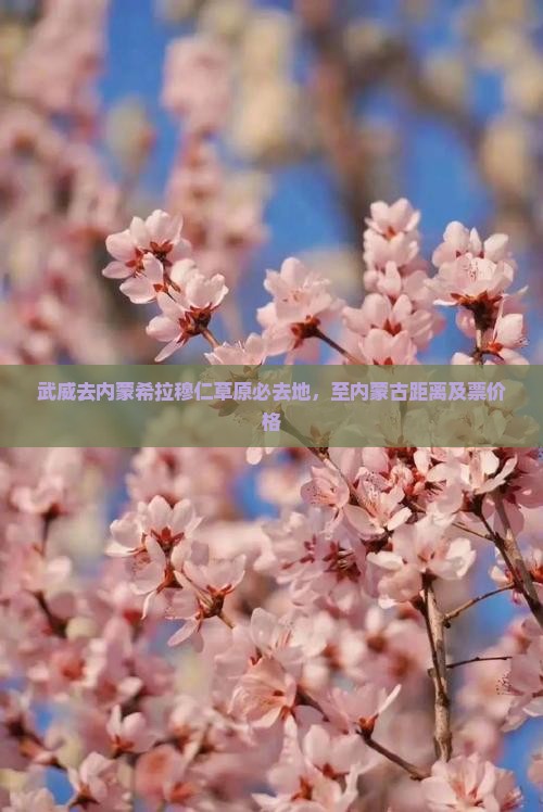 武威去内蒙希拉穆仁草原必去地，至内蒙古距离及票价格