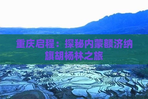 重庆启程：探秘内蒙额济纳旗胡杨林之旅