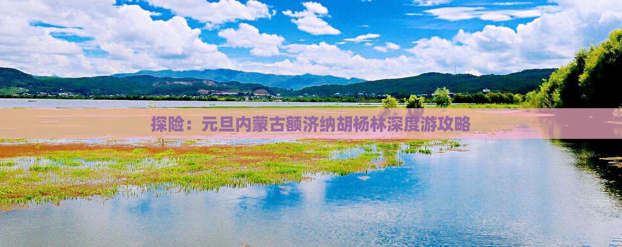 探险：元旦内蒙古额济纳胡杨林深度游攻略