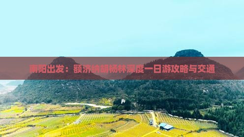 南阳出发：额济纳胡杨林深度一日游攻略与交通