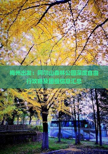 梅州出发：阿尔山森林公园深度自由行攻略及团组信息汇总