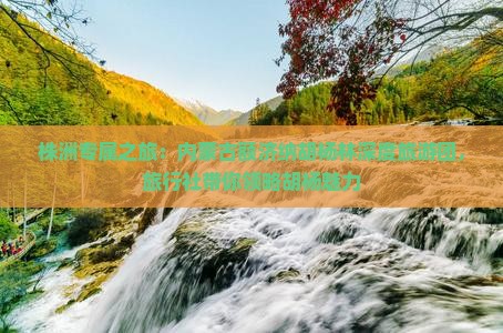 株洲专属之旅：内蒙古额济纳胡杨林深度旅游团，旅行社带你领略胡杨魅力