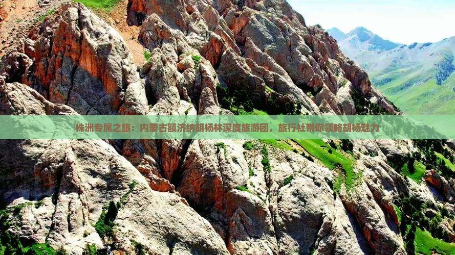 株洲专属之旅：内蒙古额济纳胡杨林深度旅游团，旅行社带你领略胡杨魅力