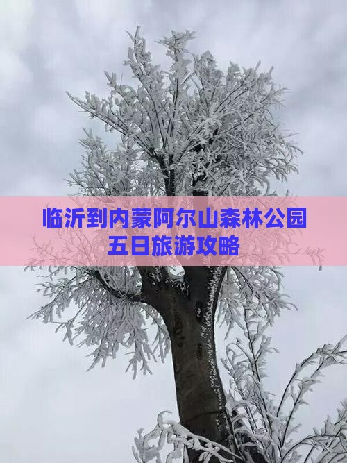 临沂到内蒙阿尔山森林公园五日旅游攻略