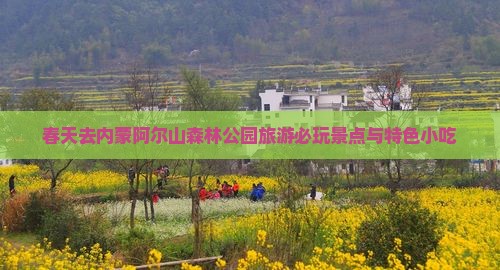 春天去内蒙阿尔山森林公园旅游必玩景点与特色小吃
