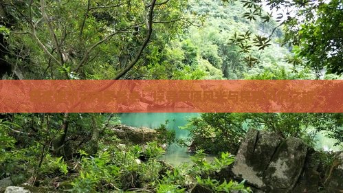 巴彦倬尔去内蒙景点：探寻草原风光与民族风情之旅