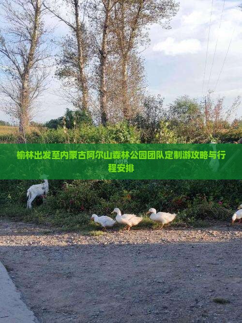 榆林出发至内蒙古阿尔山森林公园团队定制游攻略与行程安排