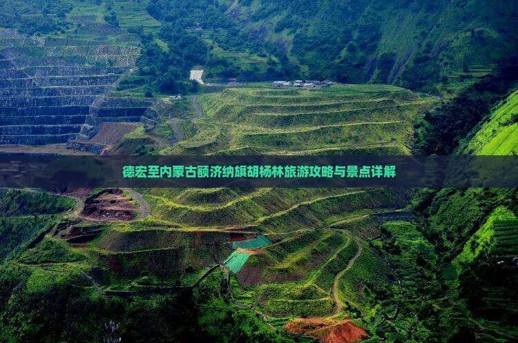 德宏至内蒙古额济纳旗胡杨林旅游攻略与景点详解