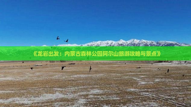 《龙岩出发：内蒙古森林公园阿尔山旅游攻略与景点》