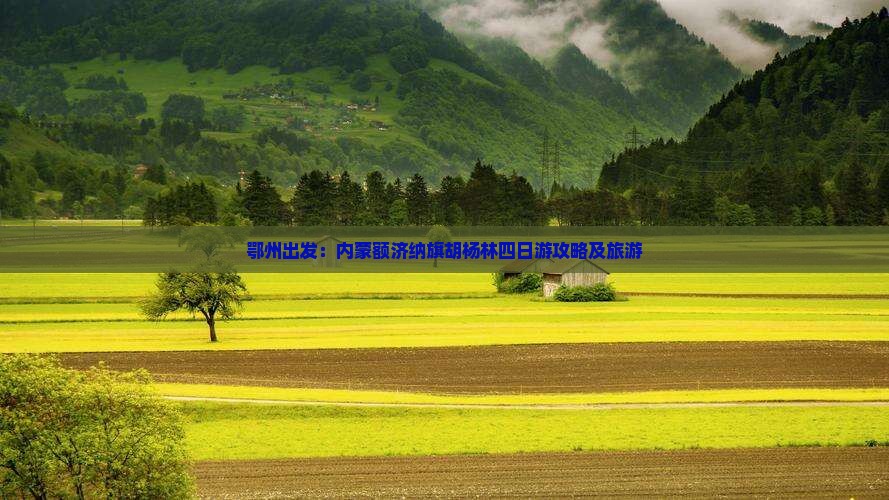鄂州出发：内蒙额济纳旗胡杨林四日游攻略及旅游