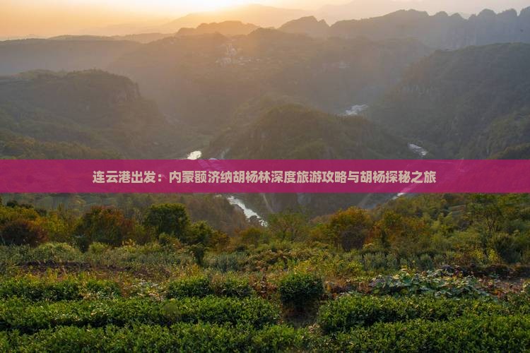 连云港出发：内蒙额济纳胡杨林深度旅游攻略与胡杨探秘之旅