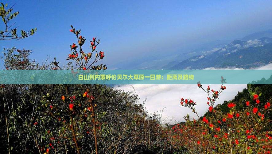 白山到内蒙呼伦贝尔大草原一日游：距离及路线