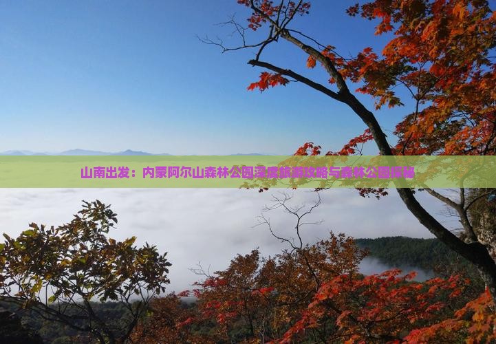 山南出发：内蒙阿尔山森林公园深度旅游攻略与森林公园探秘