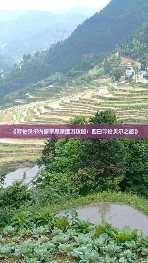 《呼伦贝尔内蒙草原深度游攻略：四日呼伦贝尔之旅》