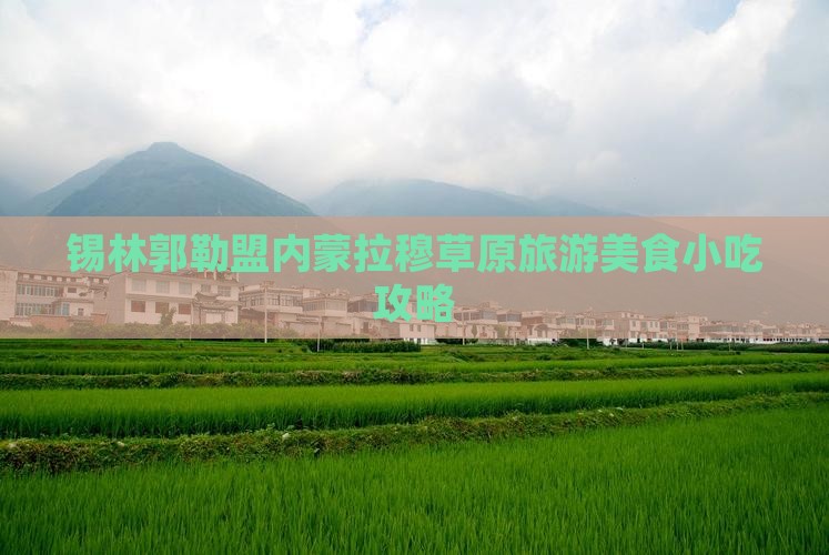 锡林郭勒盟内蒙拉穆草原旅游美食小吃攻略