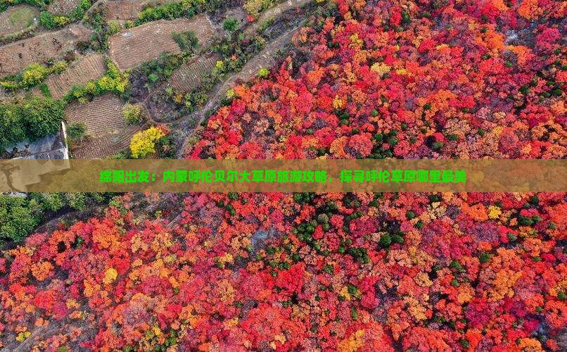 绵阳出发：内蒙呼伦贝尔大草原旅游攻略，探寻呼伦草原哪里最美