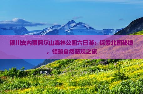 银川去内蒙阿尔山森林公园六日游：探索北国秘境，领略自然奇观之旅