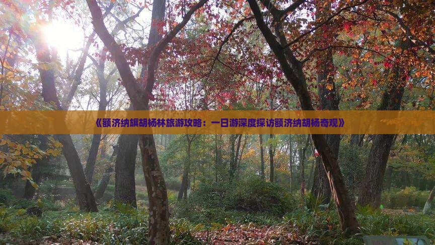 《额济纳旗胡杨林旅游攻略：一日游深度探访额济纳胡杨奇观》