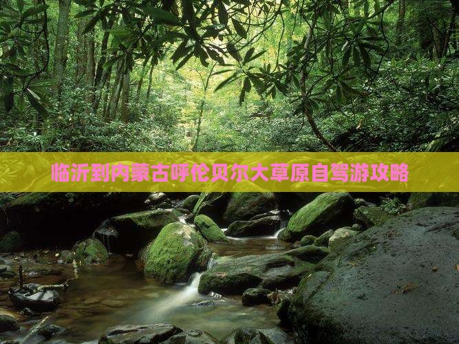临沂到内蒙古呼伦贝尔大草原自驾游攻略