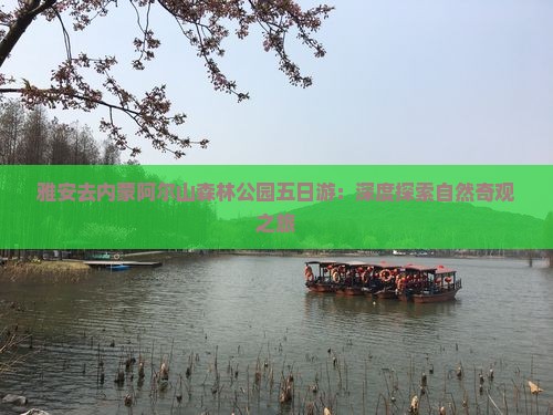 雅安去内蒙阿尔山森林公园五日游：深度探索自然奇观之旅