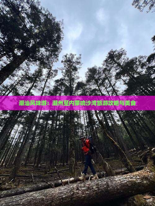 潮汕风味游：潮州至内蒙响沙湾旅游攻略与美食