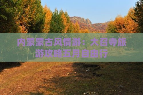 内蒙蒙古风情游：大召寺旅游攻略五月自由行