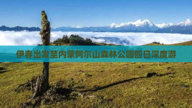 伊春出发至内蒙阿尔山森林公园四日深度游