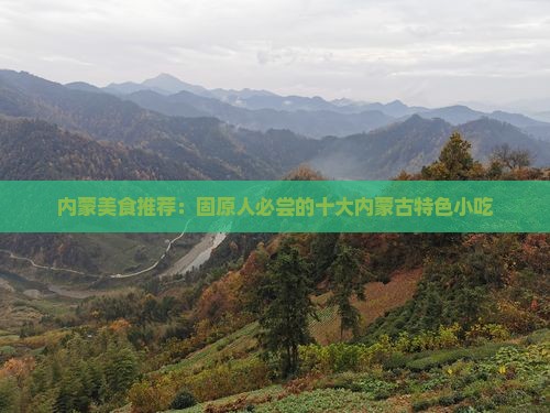 内蒙美食推荐：固原人必尝的十大内蒙古特色小吃