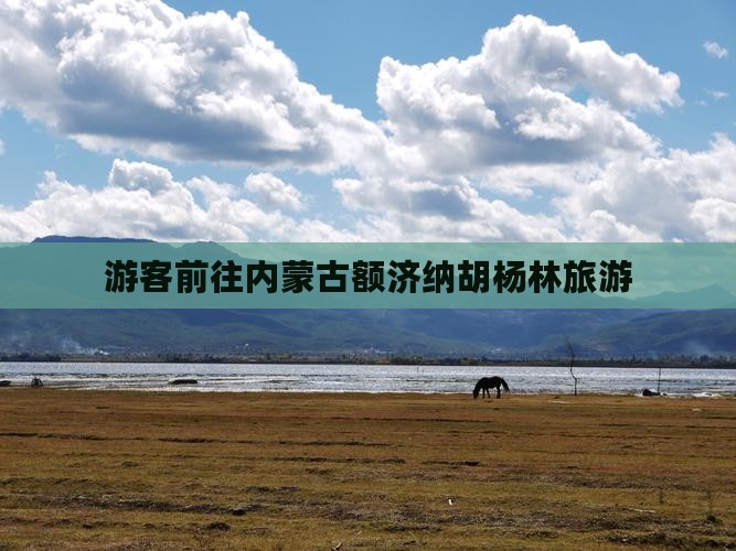 游客前往内蒙古额济纳胡杨林旅游