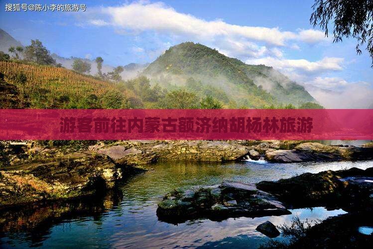 游客前往内蒙古额济纳胡杨林旅游