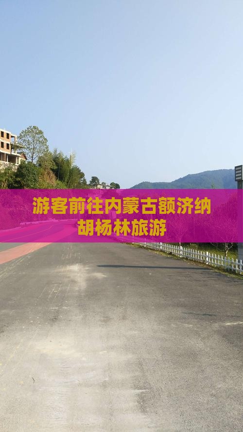游客前往内蒙古额济纳胡杨林旅游