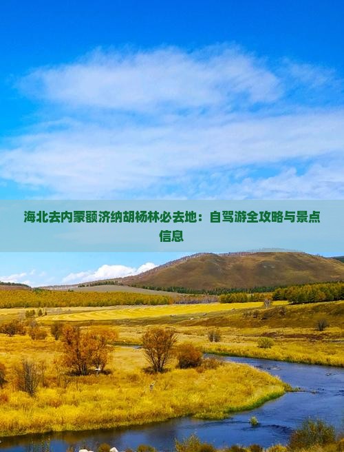 海北去内蒙额济纳胡杨林必去地：自驾游全攻略与景点信息