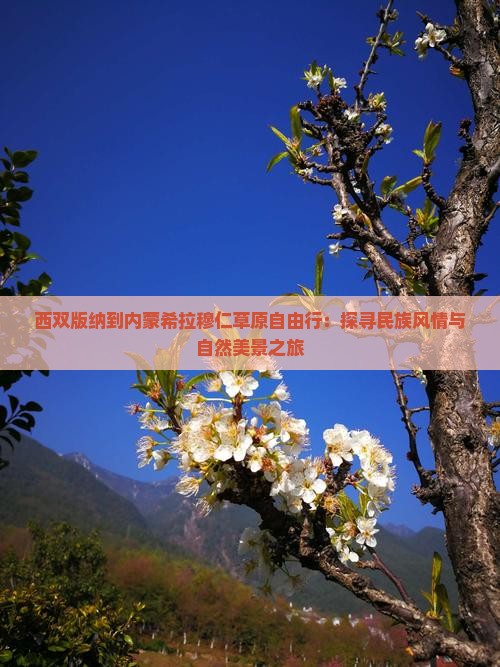 西双版纳到内蒙希拉穆仁草原自由行：探寻民族风情与自然美景之旅