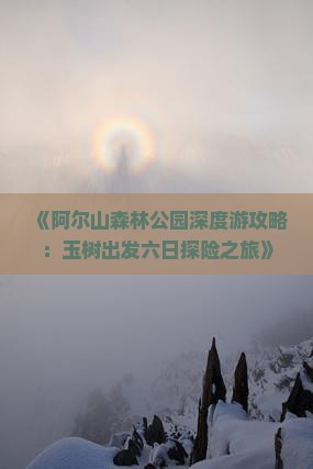 《阿尔山森林公园深度游攻略：玉树出发六日探险之旅》