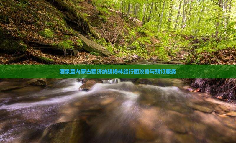 酒泉至内蒙古额济纳胡杨林旅行团攻略与预订服务