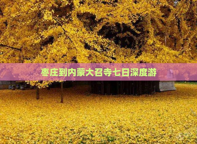 枣庄到内蒙大召寺七日深度游