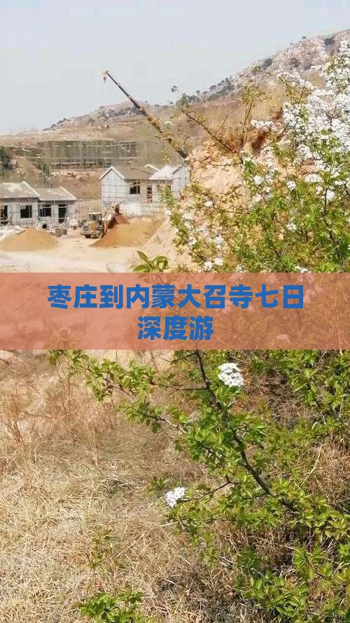 枣庄到内蒙大召寺七日深度游