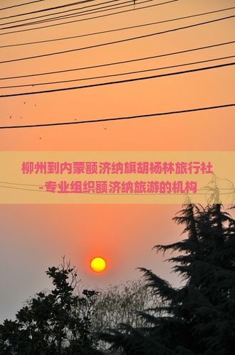 柳州到内蒙额济纳旗胡杨林旅行社-专业组织额济纳旅游的机构