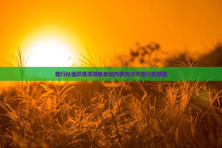 旅行社组织鹰潭游客参加内蒙响沙湾旅行旅游团